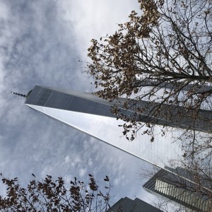 IMG_7788