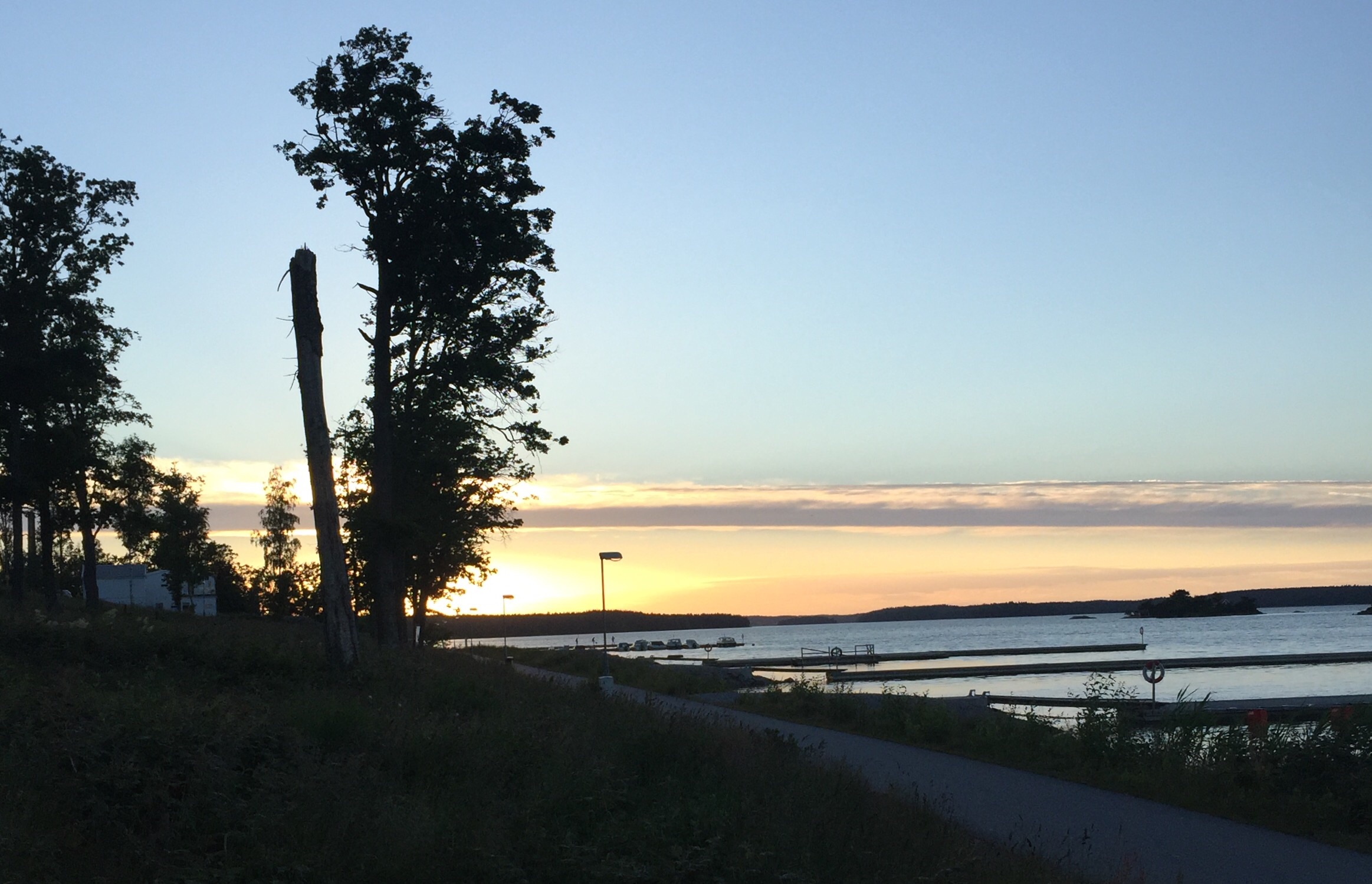 Juni-läsning