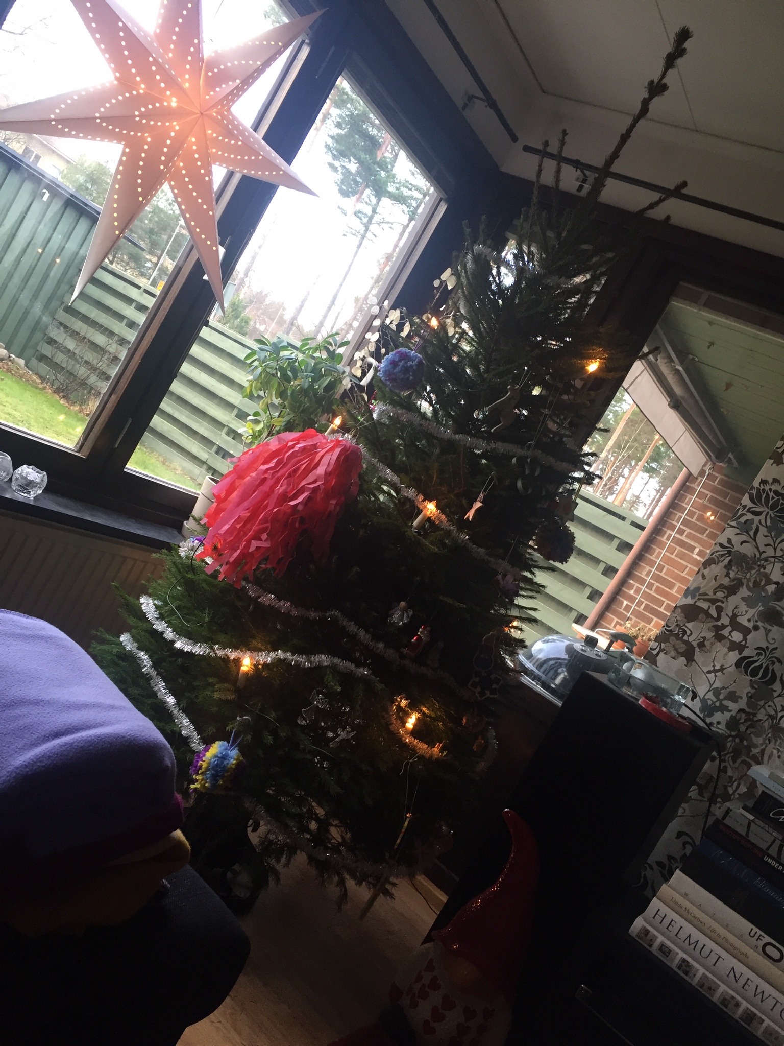 Julefrid i mitt hus