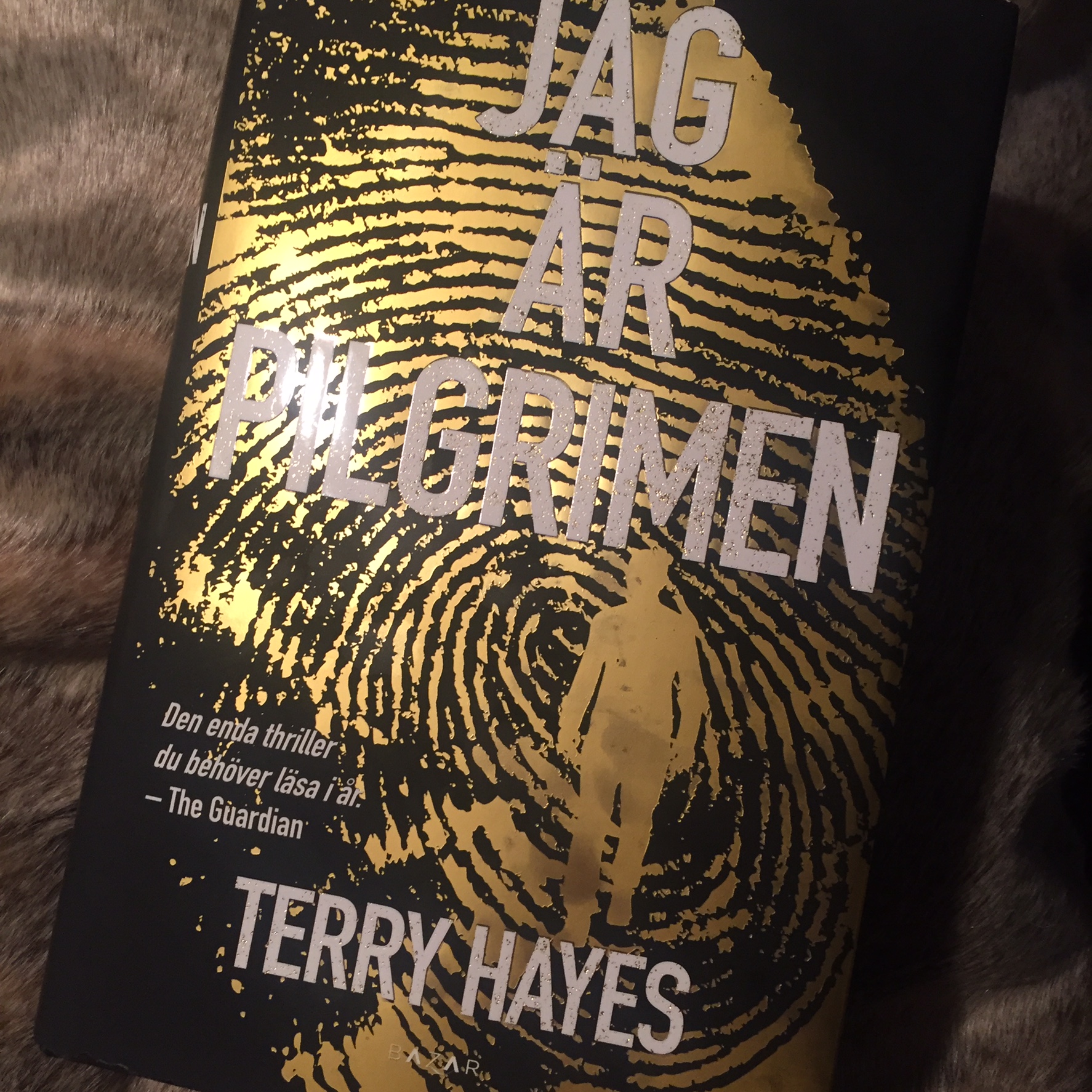 ”Jag är pilgrimen” av Terry Hayes (Bazar)