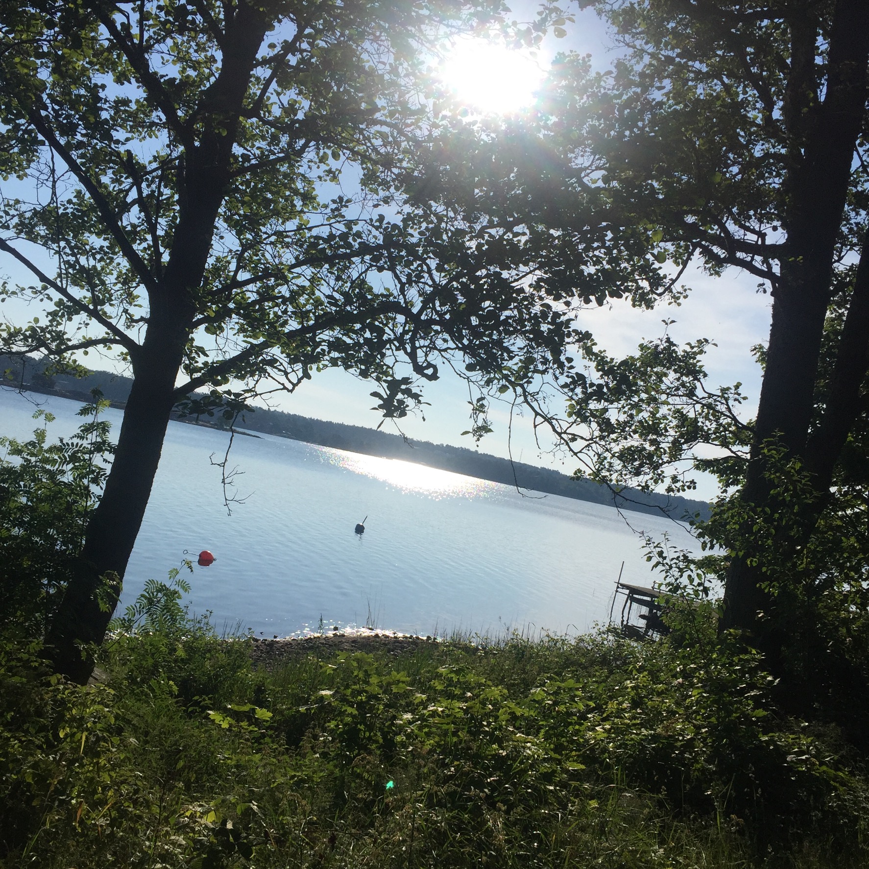 Öppettider Midsommarhelgen